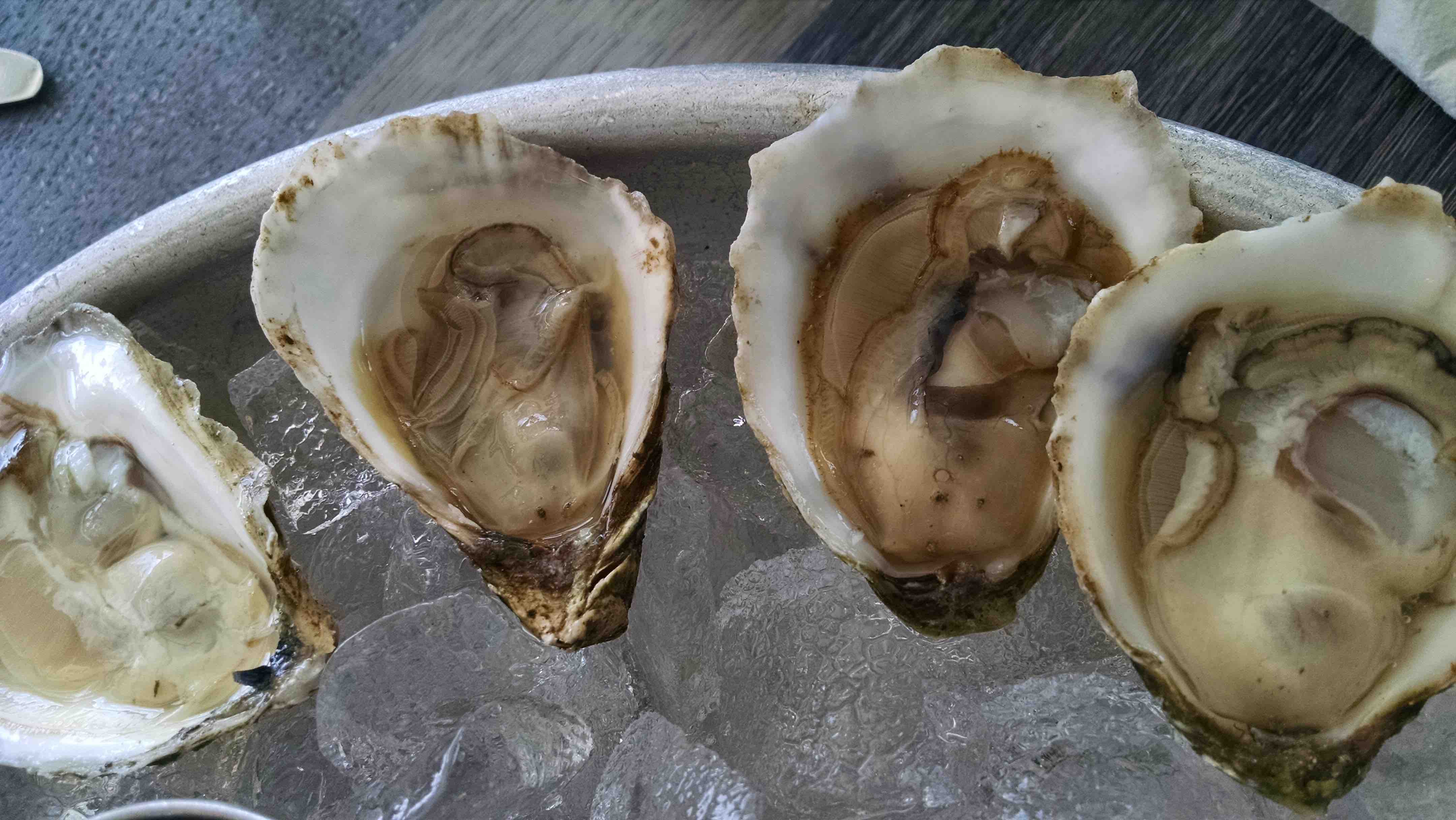 Matunuck Oyster | Oysterater